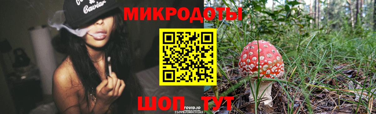 Псилоцибиновые грибы мухоморы Обь
