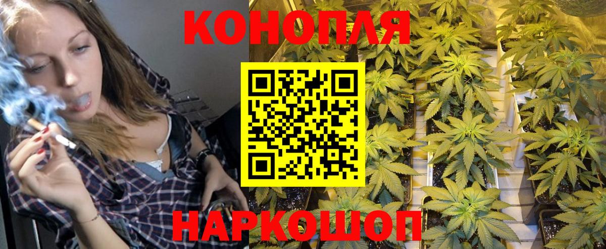 Шишки марихуана план Обь
